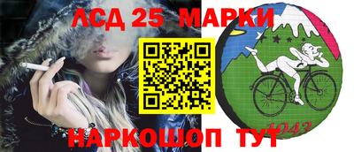 ГАЛЛЮЦИНОГЕННЫЕ ГРИБЫ Кудрово