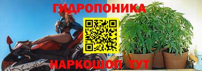 круглые Обь